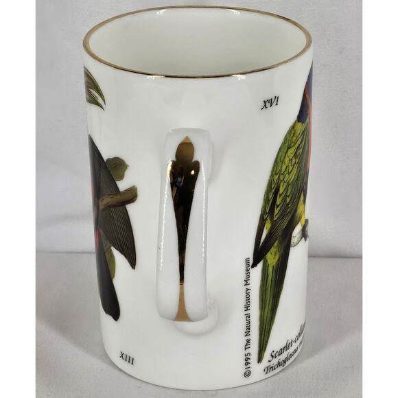 STAFFORDSHIRE SCARLET-COLLARED PARAKEET MUG - VIBRANT & ELEGANT! - Picture 4 of 6